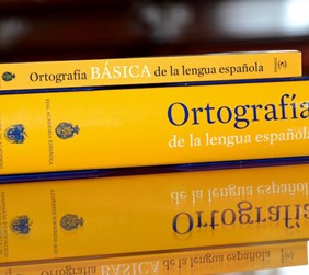 ortografia 2010